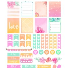 the tropical rainbow planner stickers are shown in pink, yellow and green colors with flowers