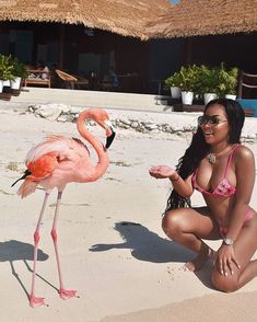 a woman kneeling down next to a pink flamingo on a sandy beach in front of a thatched hut