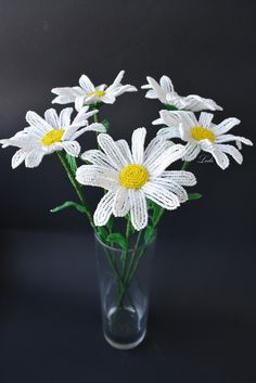 white daisies in a glass vase on a black background