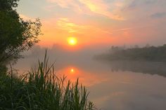 the sun is setting over a body of water with reeds in the foreground