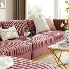 a cat sitting on top of a pink couch