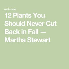 12 Plants You Should Never Cut Back in Fall — Martha Stewart Pruning Azaleas, Hardy Hydrangea, Pruning Plants, Pruning Hydrangeas, Types Of Hydrangeas, Deer Proof, Hydrangea Varieties, Entertaining Dinner, Sage Plant