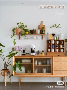 a wooden cabinet sitting next to a wall filled with potted plants