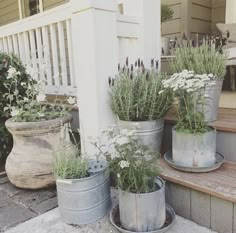 some potted plants are sitting on the steps