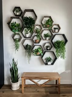 These floating hexagon shelves open up more wall storage space, so you don't have to worry about running out of space for small items.
Wall honeycomb shelves are made of paulownia wood, famous for their high stiffness, lightweight, and resistance to shrinkage and expansion. Plant Decor Indoor, Room With Plants, Decor Minimalist, Plant Decor