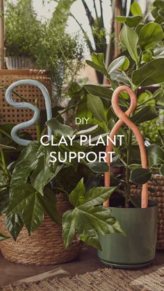 clay plant support is the perfect way to keep your house clean and fresh this spring