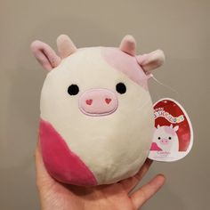 Caedyn Valentines Day Squishmallow 5" Squishmallows Valentines Day, Valentine’s Day Squishmallow, Caedyn Squishmallow, Valentines Day Squishmallows, Squishmallows Valentines, Squishmallow Valentine, Party Poison