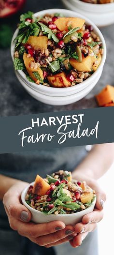 harvest salad with farro and pomegranates in a white bowl on a table