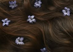 purple flowers are placed on top of brown hair