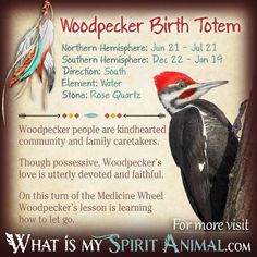 a woodpecker birthday card with the words, what is my spirit animal?