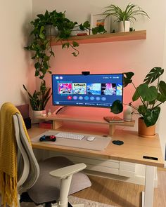 a desk with a monitor, keyboard and some plants on the shelf above it in front of a pink wall