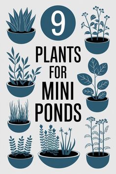 Ready to plant your mini pond? These 9 plants will make it shine!  🪷

#GardenTips #WaterGardening #PondGarden #MiniaturePlants #SmallWaterGarden #PondLife #MiniaturePond #MiniPond #SmallPond #TinyPond #WaterPlants #SmallGardens #PondPlants #WaterGarden #OutdoorOasis #GardenInspiration #Pond #Garden #Plants #AquaticPlants #PondInformer