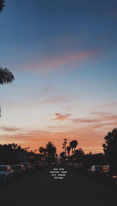 the sun is setting behind palm trees and cars parked on the side of the road