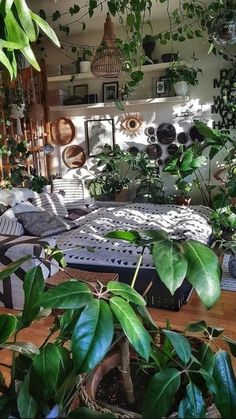 a room filled with lots of green plants next to a bed and shelves on the wall