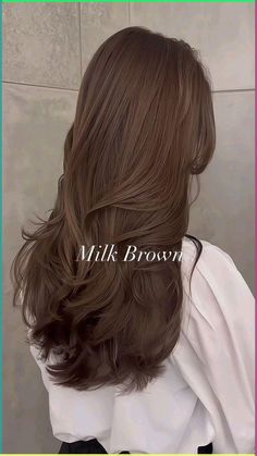 Coco Brown Hair, Milky Brown Hair, Layers Korean, Blow Hair, Korean Hair Color, Brown Hair Looks, Brown Hair Inspo, Hair Tint, Brown Hair Dye