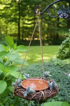 a bird feeder hanging from the side of a tree in a garden with green plants