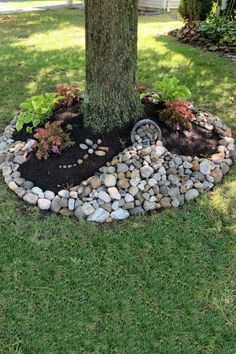 a tree that is sitting in the grass near some rocks and dirt on the ground