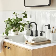 a bathroom sink with a potted plant next to it