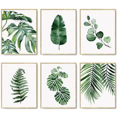 four green leaf prints on white paper, each with different types of leaves in them