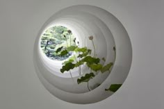 a round window with plants in it