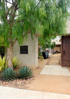 a tree and some plants in front of a building