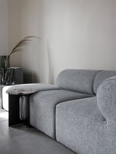 a grey couch sitting next to a table with a plant on it's side