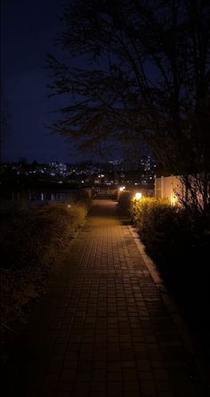 a walkway with lights on at night in the distance, and trees lining both sides