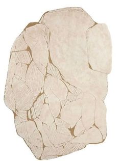 a drawing of rocks and leaves on a white background