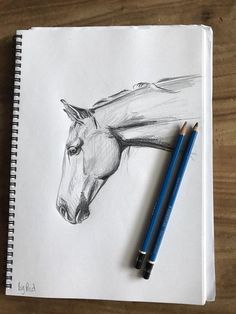 a pencil drawing of a horse's head on top of a piece of paper