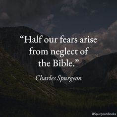 charles spurson quote half our fears are from neglect of the bible on mountain background