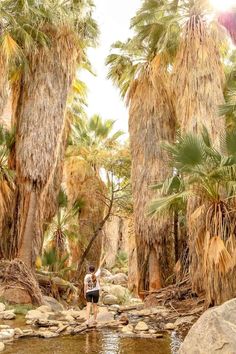 a man standing in the middle of a river surrounded by palm trees and rocks,