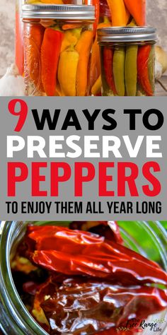 jars filled with pickled peppers and text that reads 9 ways to preserve peppers to enjoy them all year long