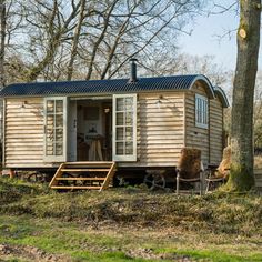 a small wooden cabin sitting in the middle of a forest next to a large tree