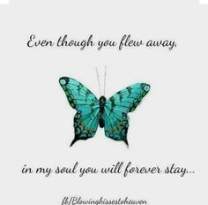 Missing my son. Butterfly Quotes, Blue Butterfly, My Soul, Beautiful Butterflies