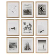 six black and white photographs hanging on a wall with palm trees in the middle, one is