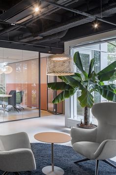 an office with two chairs and a potted plant in the middle of the room