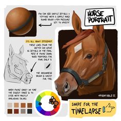 the horse portrait has been drawn and colored