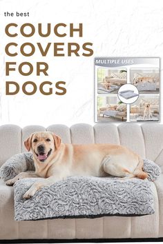 a dog laying on top of a couch with the words couch covers for dogs above it