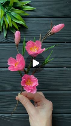 a person holding pink flowers in their hand