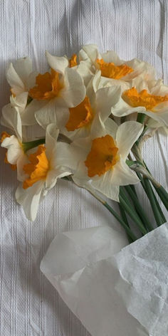 aesthetic easter wallpaper: daffodils Narcissus Flower Aesthetic Wallpaper, Narcissus Flower Aesthetic, Daffodil Flower Aesthetic, Narcissus Aesthetic, Daffodil Aesthetic, Daffodils Aesthetic, Aesthetic Easter Wallpaper, Daffodil Wallpaper, Flores Wallpaper