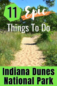 the indiana dunes national park with text overlay that reads 11 epic things to do