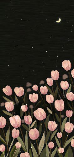 pink tulips are blooming in the night sky