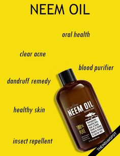 NEEM OIL BENEFITS AND REMEDIES Skin Care Glowing, Black Cumin Seed Oil, Black Cumin Seed, Healing Skin, Branch Leaves, Dandruff Remedy, Black Cumin, Diy Beauty Products