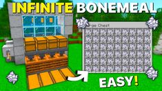 an image of a game with the words infinite bonemeal and easy to play