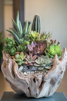 a wooden bowl filled with lots of succulents on top of a table