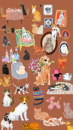 many cats and dogs are grouped together in this collage