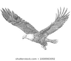 an eagle is flying in the sky with its wings spread out and it's talon extended