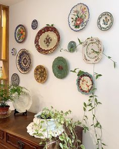 many plates are hanging on the wall next to a potted plant and an old dresser