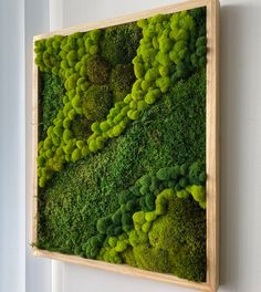 a moss covered wall hanging on the side of a building