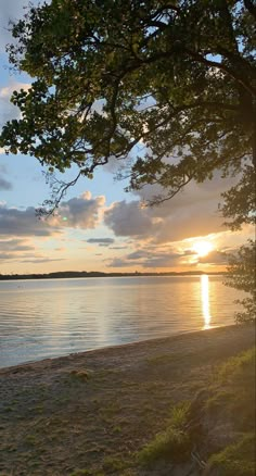 the sun is setting over the water and some trees are on the shore near the beach